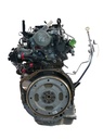 Motor Nissan Renault Navara Alaskan 2.3 DCI YS23DDTT