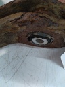 Brazo de suspensión derecho Mercedes Clase M ML 300 642.820 OM642 A1643303007