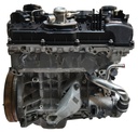 Motor BMW 2.0 318i N43B20A