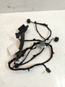 Mazo de cables de puerta delantera izquierda Mini Cooper R50 2003 W10B16A