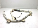 Air Curtain izquierdo Mercedes Clase M W166 (ML 350 BlueTEC 4-matic) 2011-2015