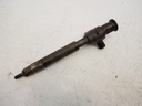 Inyector Peugeot Expert 2.0 EHT DW10FDDU340 AH01 9674984080