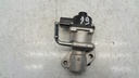 Válvula EGR para Ford Mondeo V 2.0 gasolina UACC (2016)