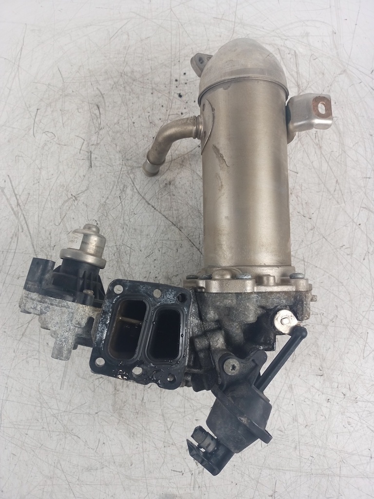 [MTD-435263] Enfriador de gases de escape Ford Transit V363 2.0 EcoBlue RWD GK2Q-9F464-AE