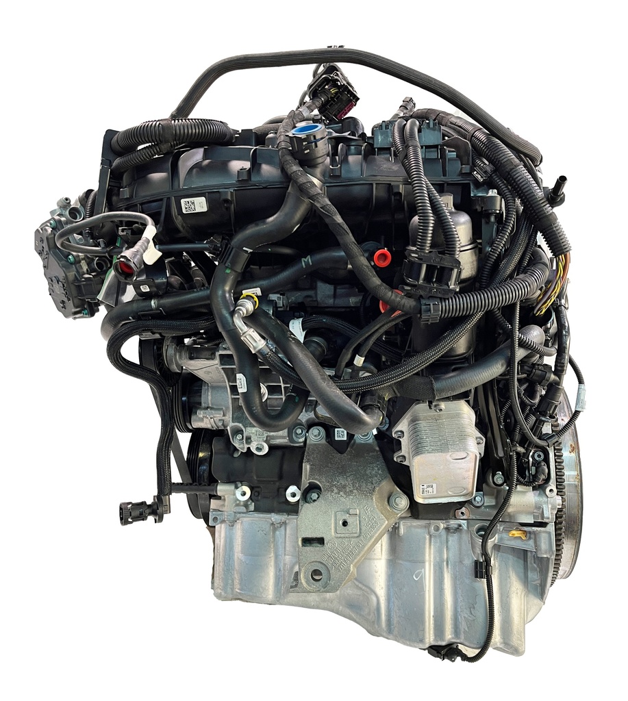 [MTD-388157] Motor BMW Serie 3 2.0 i B48
