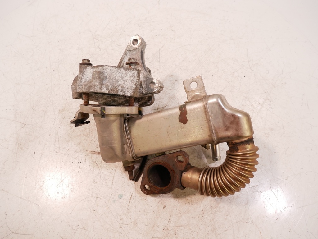 [MTD-421978] Refrigerador de gases de escape Nissan Qashqai J10 1.6 dCi 4x4 R9M 147100789R