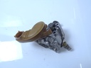 Bomba de aceite Nissan Qashqai X-Trail 1.3 DIG-T HR13DDT 150007372R