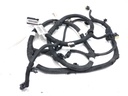 Arnés de sensores de aparcamiento trasero CITROEN C4 III (BA_, BB_, BC_) 2020-2022 1.2 PureTech 130