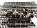 Cigüeñal Audi A6 C6 (4F2) 2.4 quattro 130 kW 2005-2008