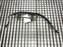 Manguito de dirección asistida BMW Serie 3 (E90) 2004-2012