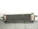 Intercooler Nissan Qashqai / Qashqai+2 I (J10, NJ10, JJ10E) 1.5 dCi 2007-2013