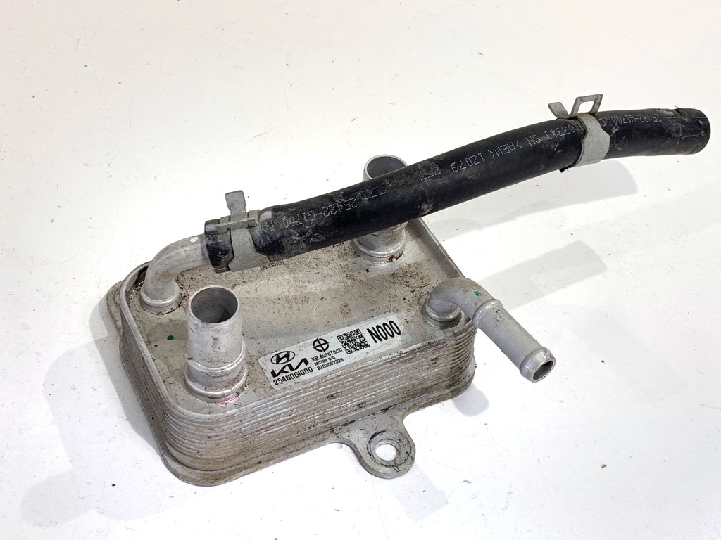 [STARK-891358] Radiador de agua KIA EV6 (CV) 2021-2022