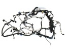 Mazo de cables de motor JAGUAR XF I (X250) 2008-2015 3.0 250 kW [340 KM] gasolina 2012-2015 REF OE: EX53-12B559