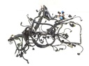 Mazo de cables de motor BMW Serie 7 (F01, F02, F03, F04) 2008-2015 750i/Li xDrive 300kW 408CV