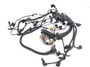 Mazo de cables del motor para BMW Serie 5 Touring (F11) 520 d 2010-2014